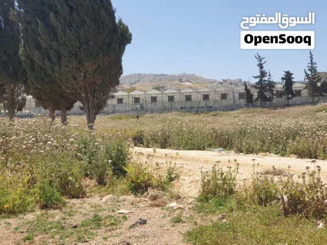قطعة سكنية في قرية ابو نصير على شارعين 534م فقط 36000 قوشان مستقل