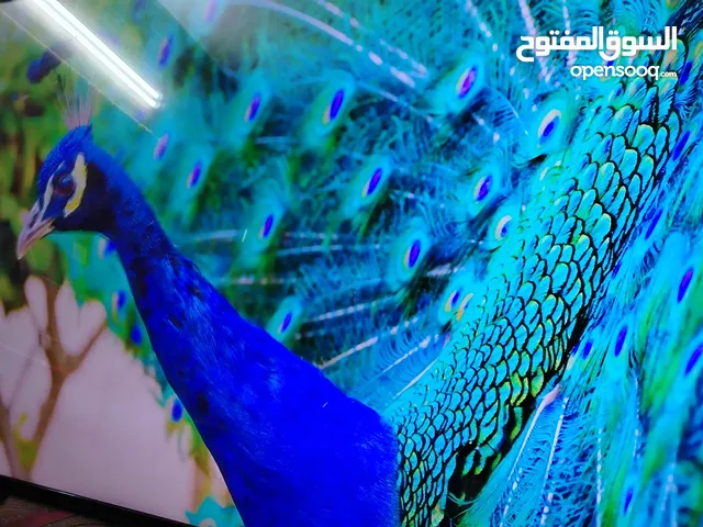 G-Guard Smart 50 inch TV in Zarqa