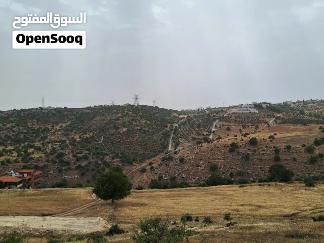 Residential Land for Sale in Amman Badr Jdedeh