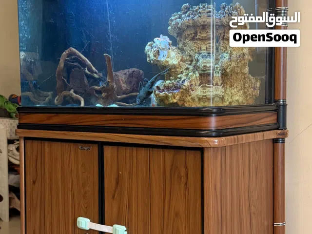 Fish tank 80cm full set