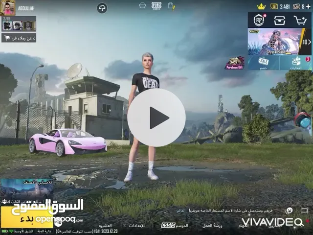 Pubg Accounts and Characters for Sale in Southern Governorate