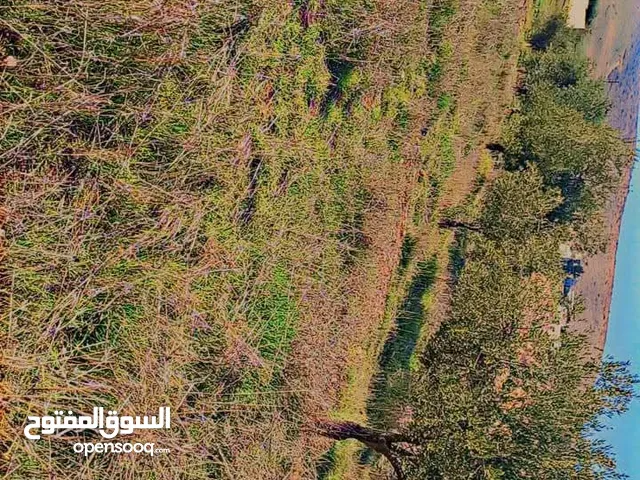 Mixed Use Land for Sale in Madaba Madaba Center