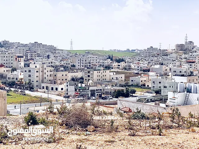 Residential Land for Sale in Amman Al Bnayyat