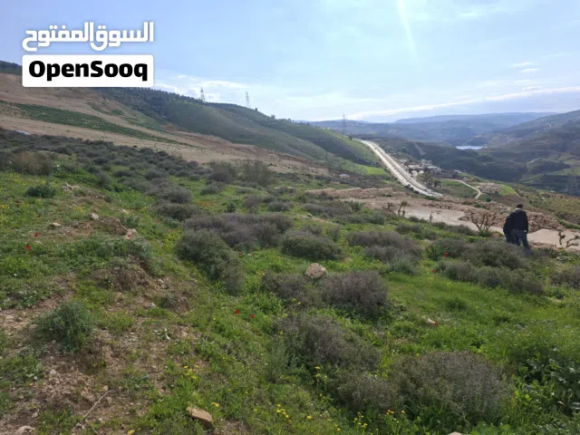 المصطبه جبه جرش