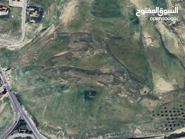ارضابونصير استثماري