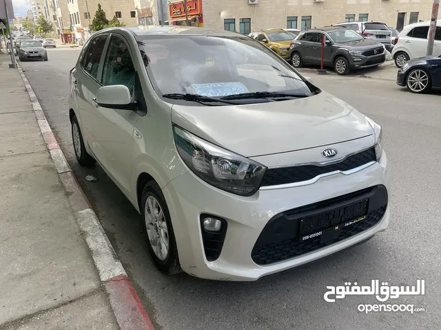 New Kia Picanto in Ramallah and Al-Bireh