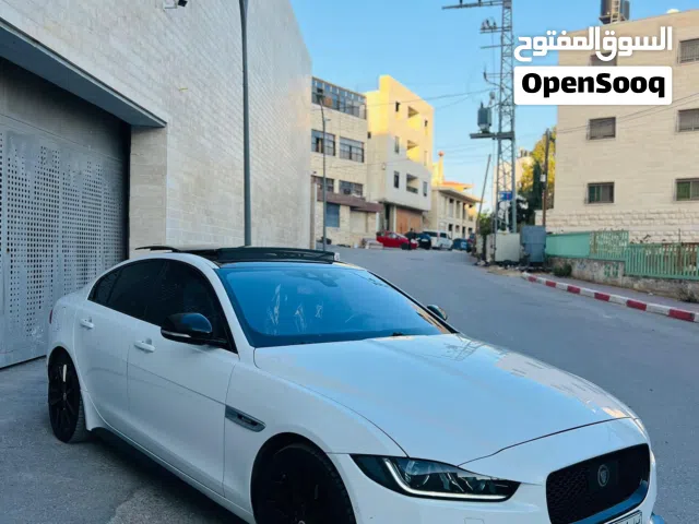 الحبة المميزة للبيع