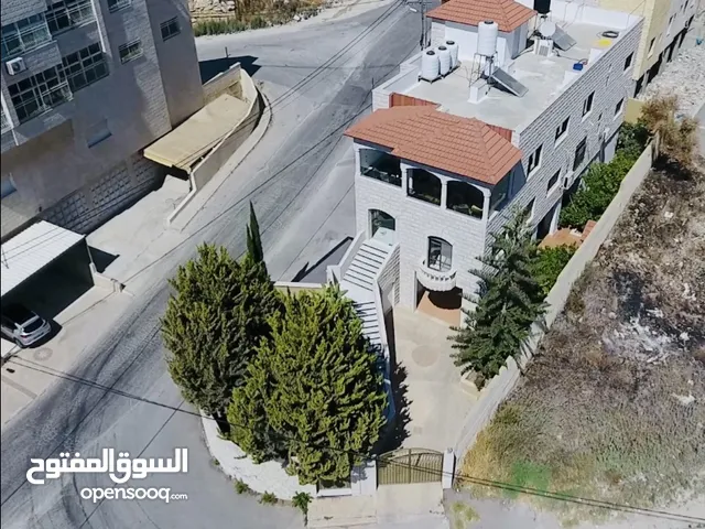 عقار باطلالة غربية جنوبية شمالية جميلة في اكثر مناطق مدينة نابلس حيوية و شعبية