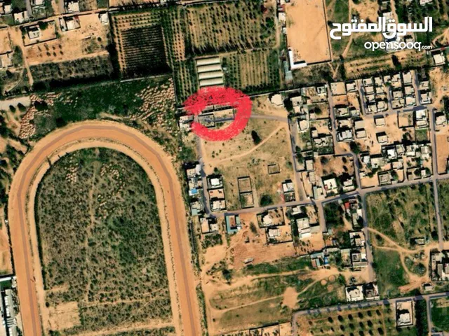 Mixed Use Land for Sale in Tripoli Al-Zahra