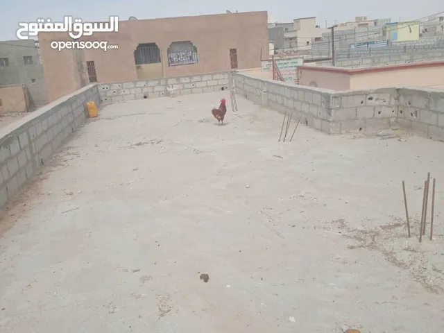ديوك/دجاح للبع