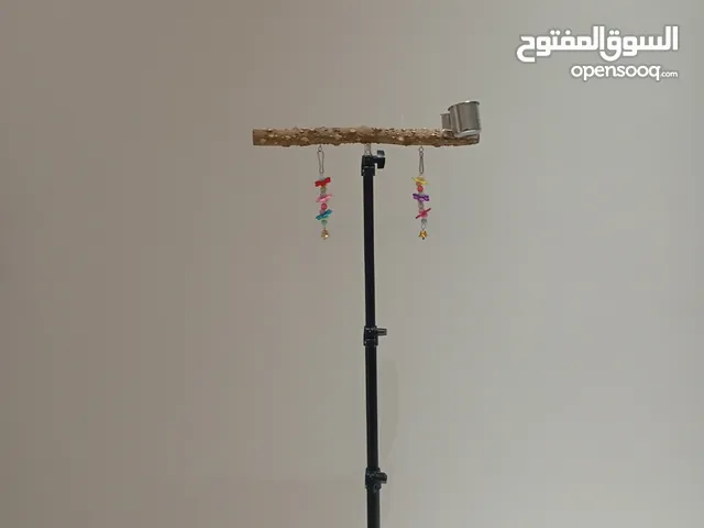متوفر ستاند طيور و إبرة طيور(غر)