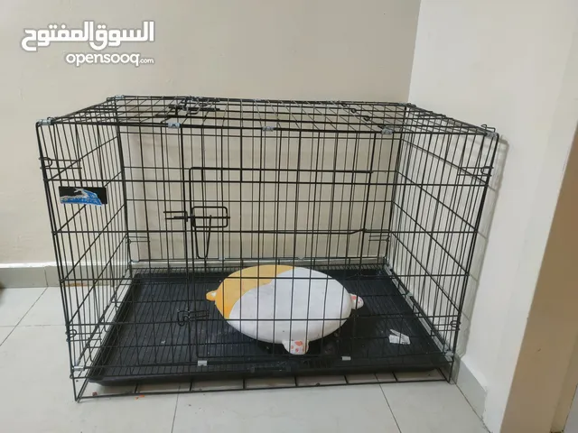 مستلزمات عالية الجودة لرعاية قطتك ادوات نظافة ، العاب ، اكسسوارات