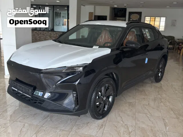 2027 دونج فينج اخرى