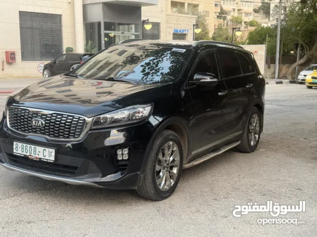 سورينتو 2019 فحص نخب