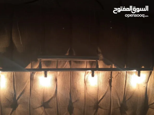 تيبل لامب عدد 2