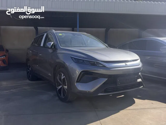 2024, بي واي دي, سونج برو