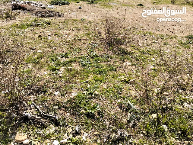 قطعة أرض مساحة 750 م2 للبيع