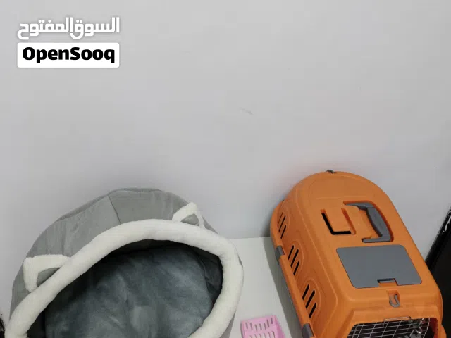 للبيع اغراض قطط