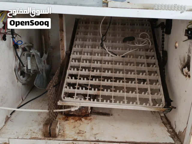 فقاسه 88 بيضه للبيع بسعر حرق