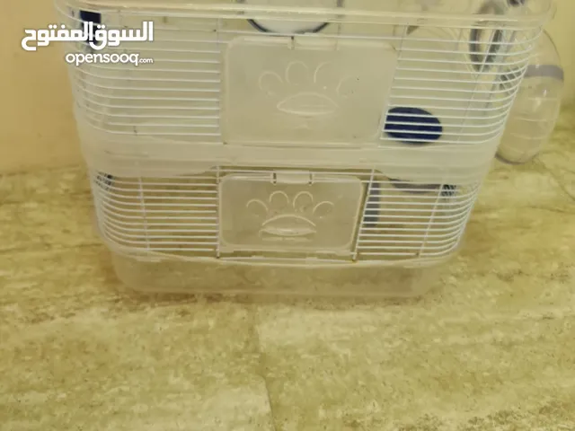 بيت هامستر كبير