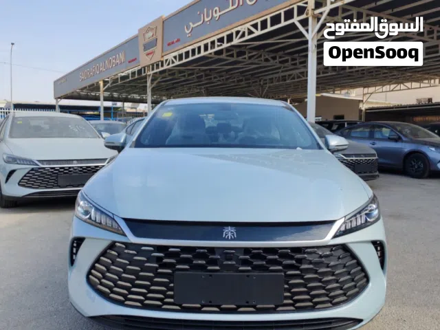 2025, بي واي دي, كين