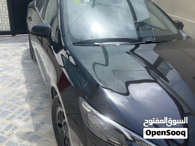 2025, بي واي دي, سيل