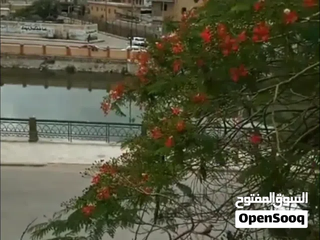 75 m2 2 Bedrooms Apartments for Sale in Damanhour Other