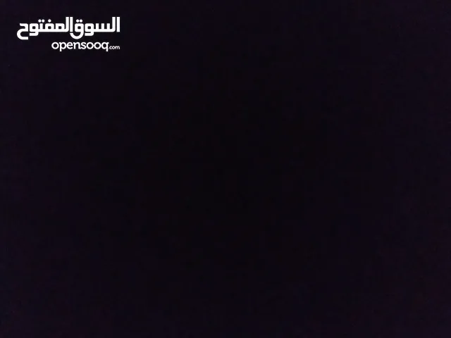 حلا محامدة