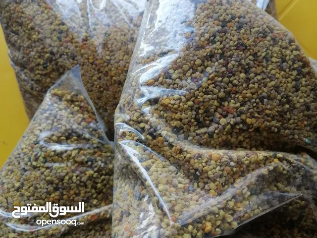 غذاء ملكات حبوب لقاح عسل طبيعي