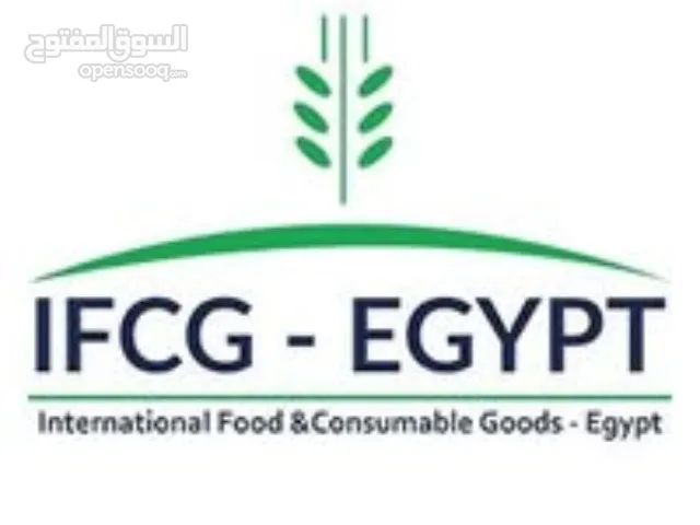 IFCG Egypt – مصنع مصري لإنتاج البطاطس والبطاطا الحلوة المجمدة بجودة عالية