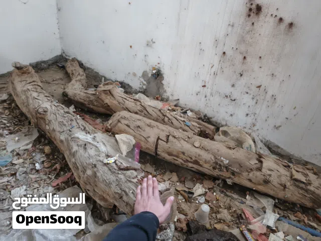 حطب وخشب للبيع