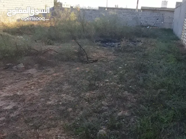 Residential Land for Sale in Tripoli Wadi Al-Rabi