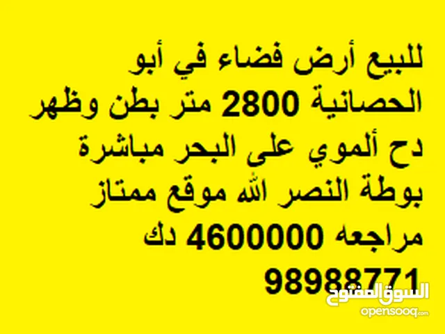 للبيع أرض فضاء في أبو الحصانية 2800 متر بطن وظهر دح ألموي على البحر مباشرة بوطة النصر الله