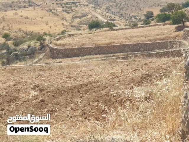 قطعة مميزة مستوية مشغولة مسنسلة مشيكة مطلة على شارعين 5125م فقط 90000 صروت بيرين قرب العالوك والمسرة