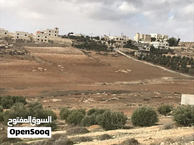 Farm Land for Sale in Amman Naour
