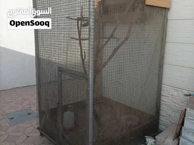 قفص للطيور