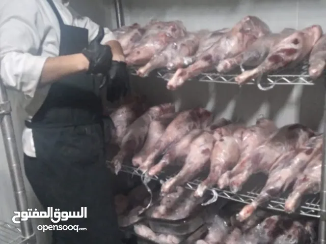 يعقوب ياسر يعقوب عفشة