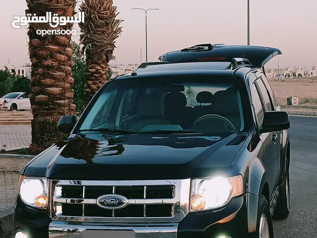 Used Ford Escape in Amman
