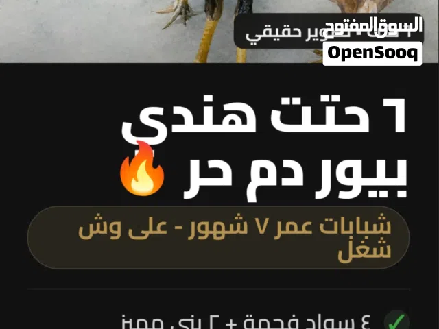 هندى بيوررررررر