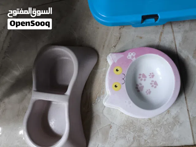 صحون قطط