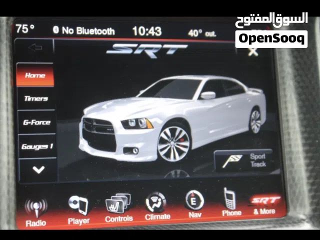 Charger 2012-2014 SRT pages activation