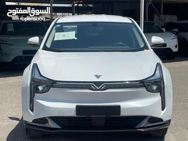 NETA U400 2023 ممشى قليل 12-24 km فحص كامل مثبت كارسيير لون ابيض