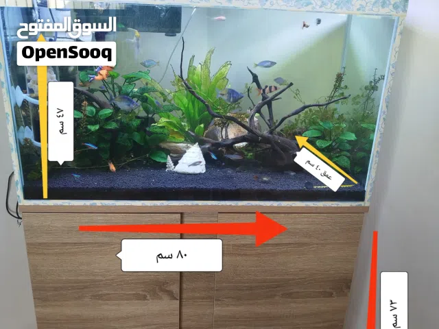 للبيع لعدم التفرغ : حوض سمك نهري كامل ونظيف جداً