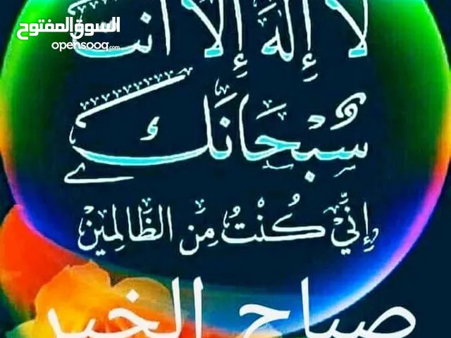 ثمن سخلات 480الكوم الوحدة 60