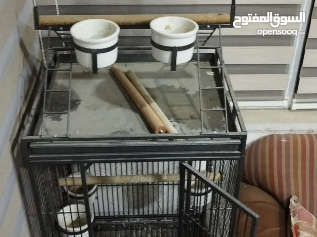 قفص ببغاء للببع