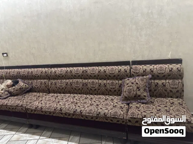 تخم ديوان كبير للبيع