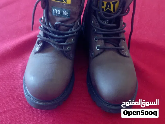 كات صدفة  بني لون