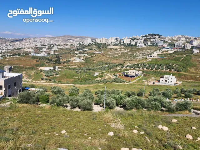 Residential Land for Sale in Nablus New Nablus