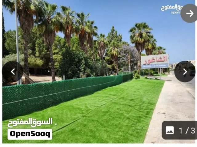 Commercial Land for Sale in Nablus Beit Iba
