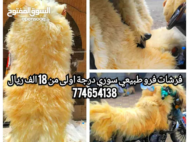 فرشات فرو طبيعي درجة اولى بضاعه من المعدوم الحق العرض